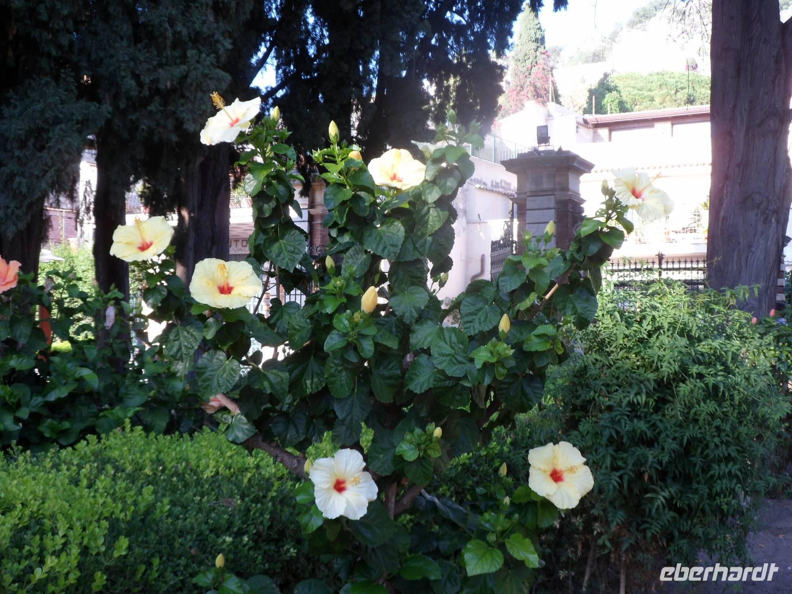 Villa Comunale,Taormina