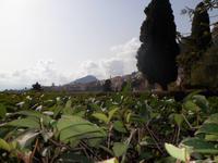 Sizilien 2014 069/ Taormina