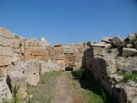 Sizilien 2014 165/ die Straßen in Selinunte