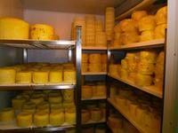 Sant Angelo Muxaro - Wir besuchen die Käserei ...und kosten