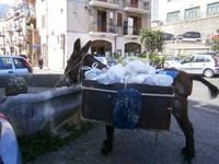 Müllentsorgung auf Sizilianisch