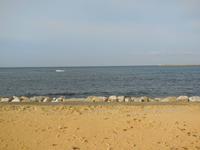 Hotel Mahara - Strand