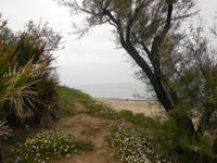 Fiesta Hotel Athenee Palace