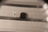 Wervolle Münze aus Sizilien