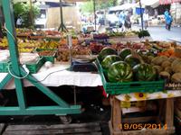 Fischmarkt von Catania