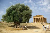 Agrigent_Tempeltal_Concordiatempel (2)