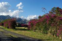 Giardini_Naxos_Archäologiepark (3)