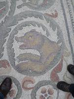 Piazza_Armerina_Villa_del_Casale_Bär