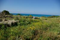 Selinunt (1)