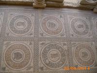 Tiermosaike - Villa Romana