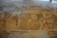 Mosaik- Villa Romana 