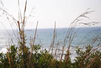 Blick auf das Meer von den Ausgrabungsstätten Selinunte