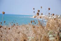 Blick auf das Meer von den Ausgrabungsstätten Selinunte