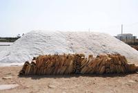 Salzgewinnung in Trapani