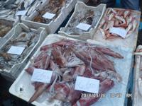 Sizilien September 2014 003/Fischmarkt