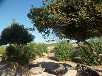 Sizilien September 2014 134