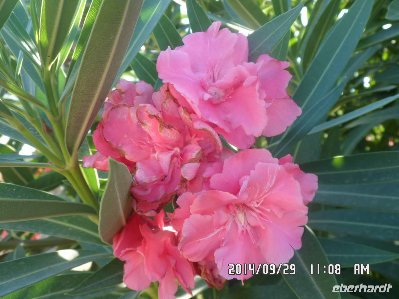 Sizilien September 2014 138