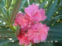 Sizilien September 2014 138