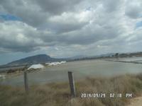 Sizilien September 2014 149/ Salinen bei Trapanie