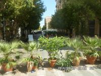 Sizilien September 2014 205/ Szenen aus Palermo