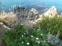 Sizilien September 2014 255