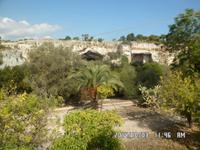 Sizilien September 2014 257/ Paradiesgarten in den Steinbrüchen von Syrakus