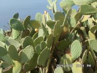 Sizilien September 2014 321