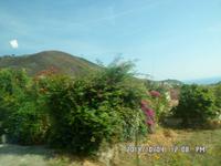 Sizilien September 2014 322/ auf den liparischen Inseln