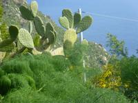 Spaziergang nach Taormina