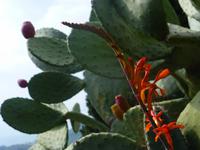 Spaziergang nach Taormina