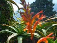 Spaziergang nach Taormina