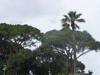 Normannenpalast von Palermo