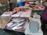 Sizilien, Catania, Fischmarkt