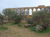 Sizilien, Agrigent, Tal der Tempel, Hera-Tempel