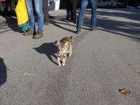 Sizilien, eine von vielen 