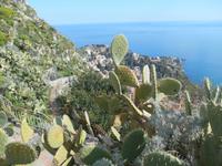 Wanderimpressionen auf dem Rückweg von Castelmola nach Taormina