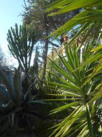 Botanischer Garten in Taormina