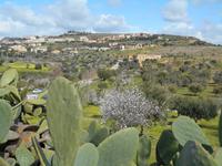 Ausblick vom Tal der Tempel in Agrigent