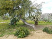 Tal der Tempel in Agrigent