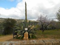 Tal der Tempel in Agrigent