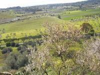 Ausblick vom Tal der Tempel in Agrigent