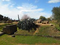 Tal der Tempel in Agrigent (Zeus-Tempel)