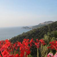 Blick vom Hotel Olimpo