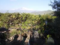 Japanischer Fotostopp Ätna