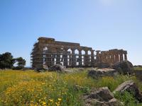 Tempel der Akropolis in Selinunte