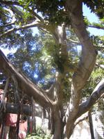 119. Oase - Sizilien 10-17.5.15