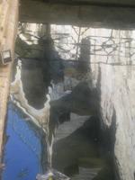 121. Auf dem Weg zum Bus - Sizilien 10-17.5.15