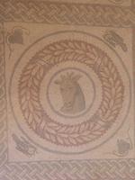 144. Mosaik - Sizilien 10-17.5.15