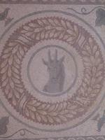 156. Mosaik - Sizilien 10-17.5.15