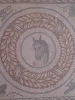 157. Mosaik - Sizilien 10-17.5.15